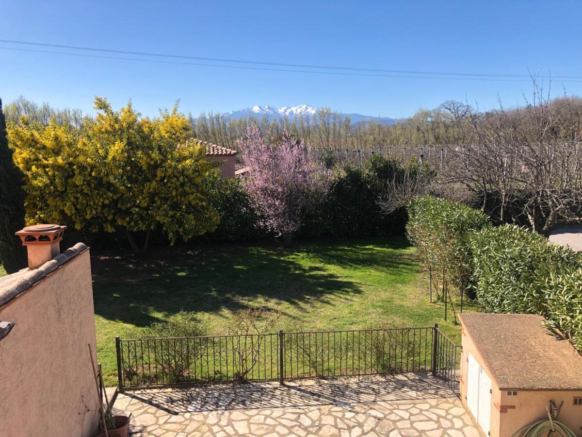 Au Mimosa -Gite Le Canigou Passa Εξωτερικό φωτογραφία