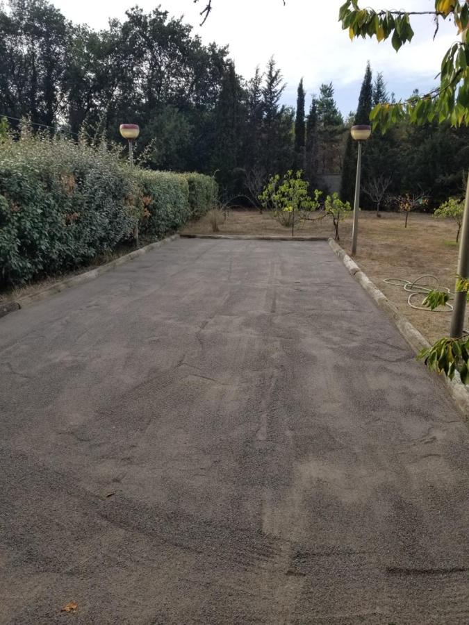 Au Mimosa -Gite Le Canigou Passa Εξωτερικό φωτογραφία