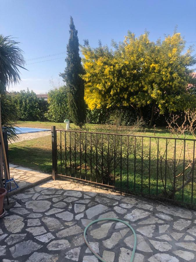 Au Mimosa -Gite Le Canigou Passa Εξωτερικό φωτογραφία